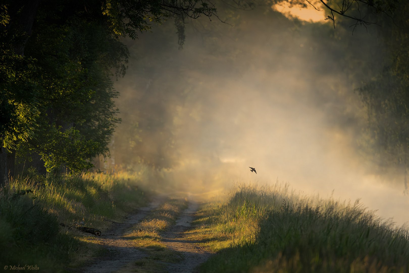 Nebelmorgen an der Ohre