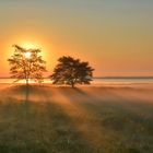 Nebelmorgen an der Schlei...