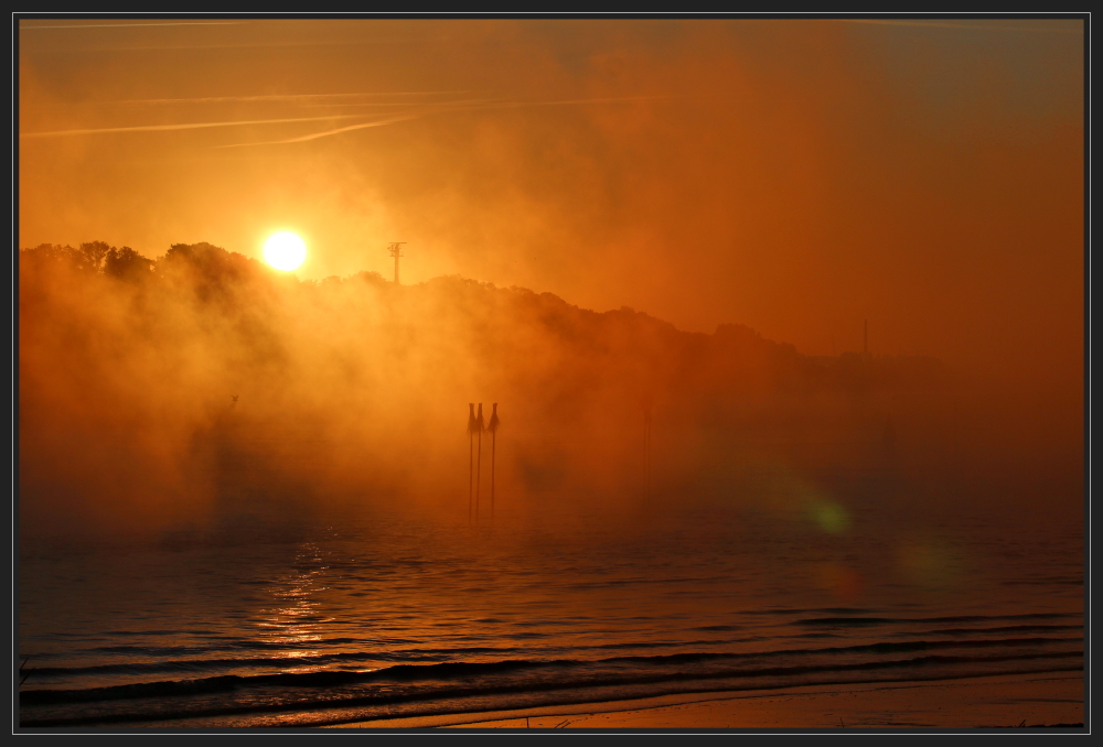 Nebelmorgen an der Unterweser