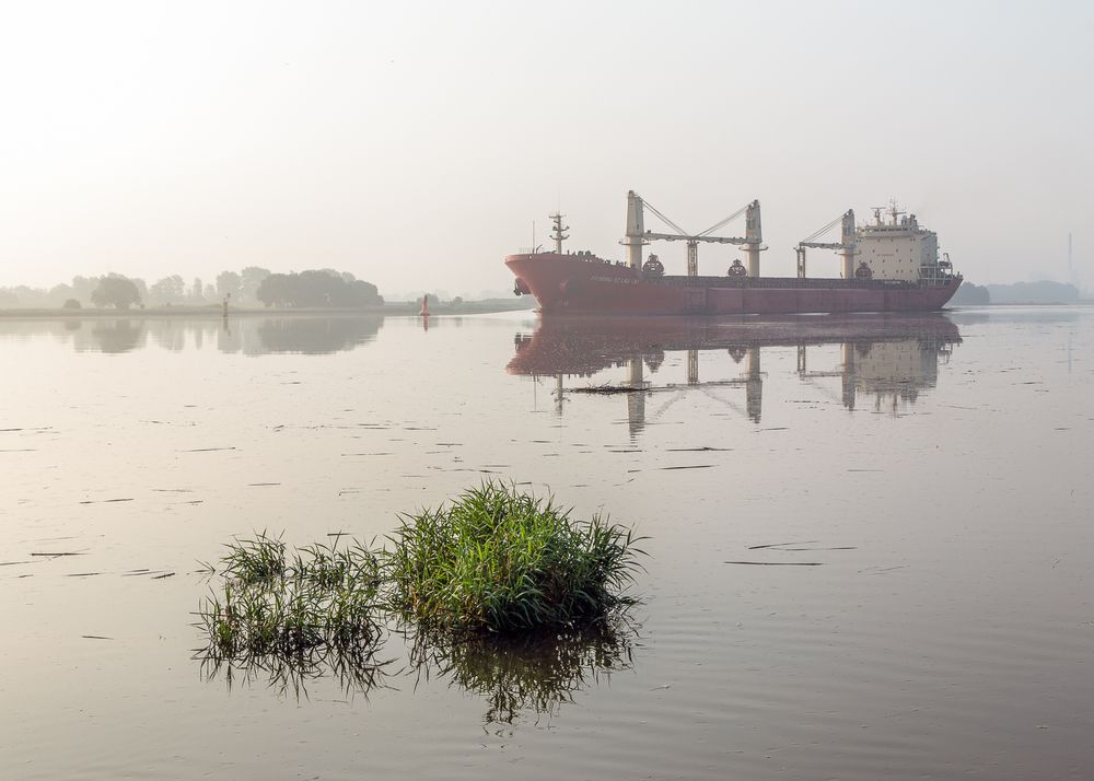 Nebelmorgen an der Weser