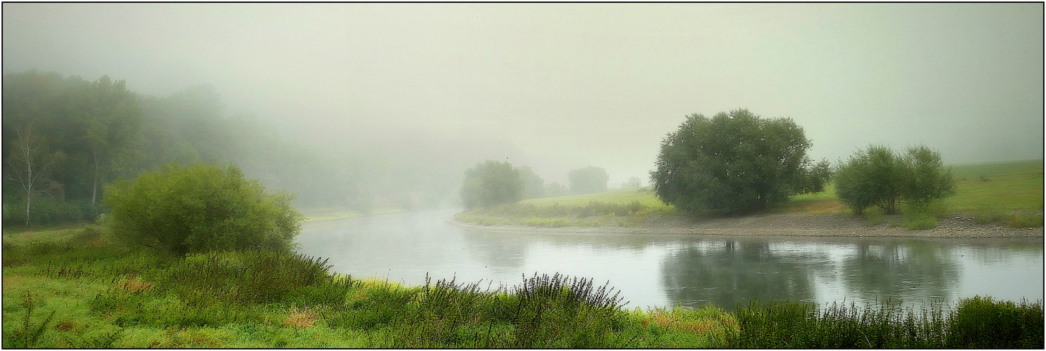 Nebelmorgen an der Weser