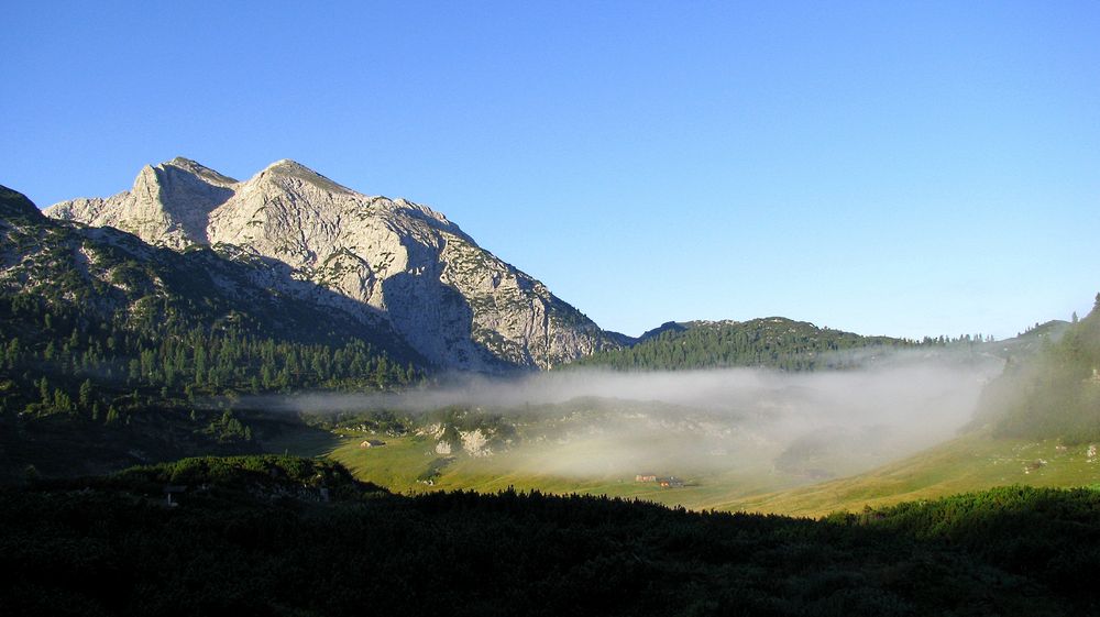 Nebelmorgen auf der Reiteralpe