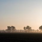 Nebelmorgen auf Fehmarn