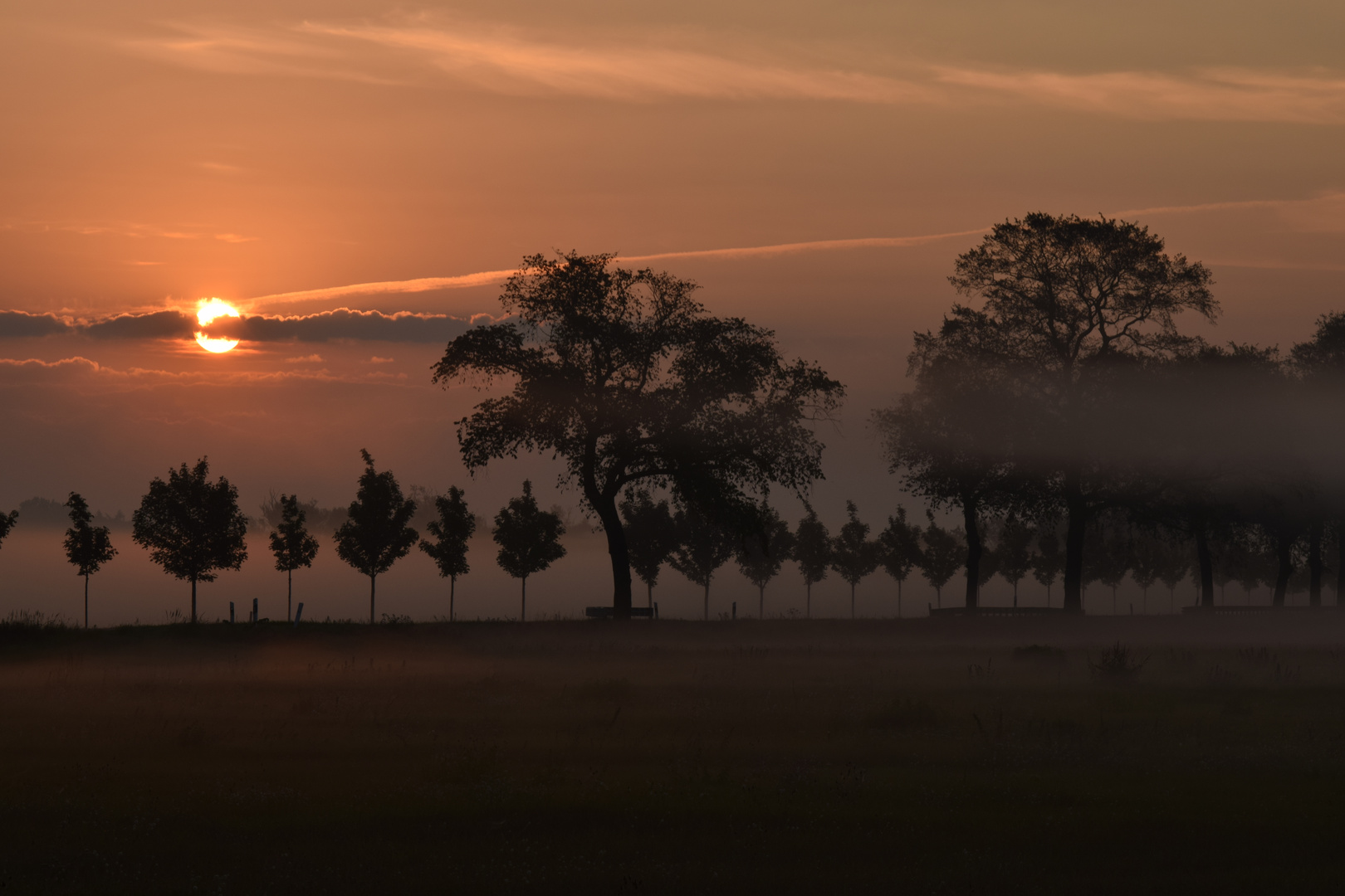 Nebelmorgen auf Usedom