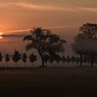 Nebelmorgen auf Usedom