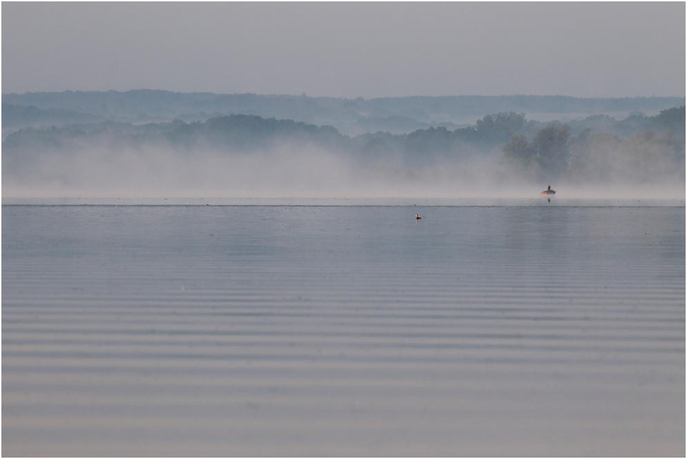 Nebelmorgen..