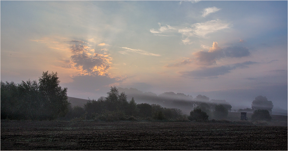 Nebelmorgen bei Golzow