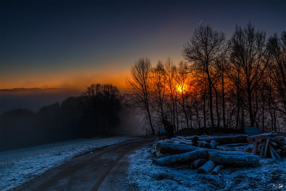 Nebelmorgen bei Obersteinhausen - Bayern646