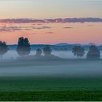 Nebelmorgen bei Raisting