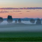 Nebelmorgen bei Raisting