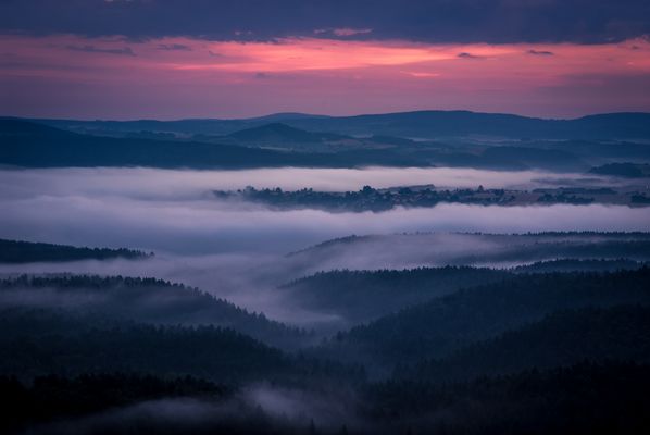 Nebelmorgen - Bevor der Tag erwacht