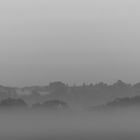 Nebelmorgen - Bornholm 7