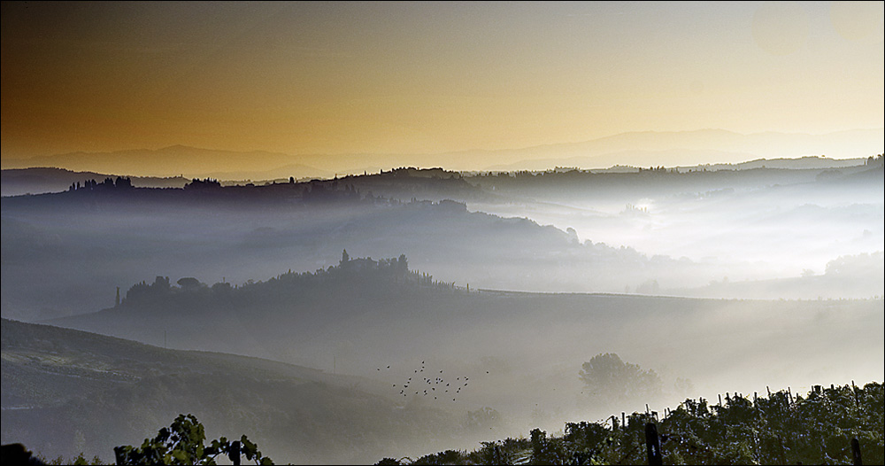 Nebelmorgen