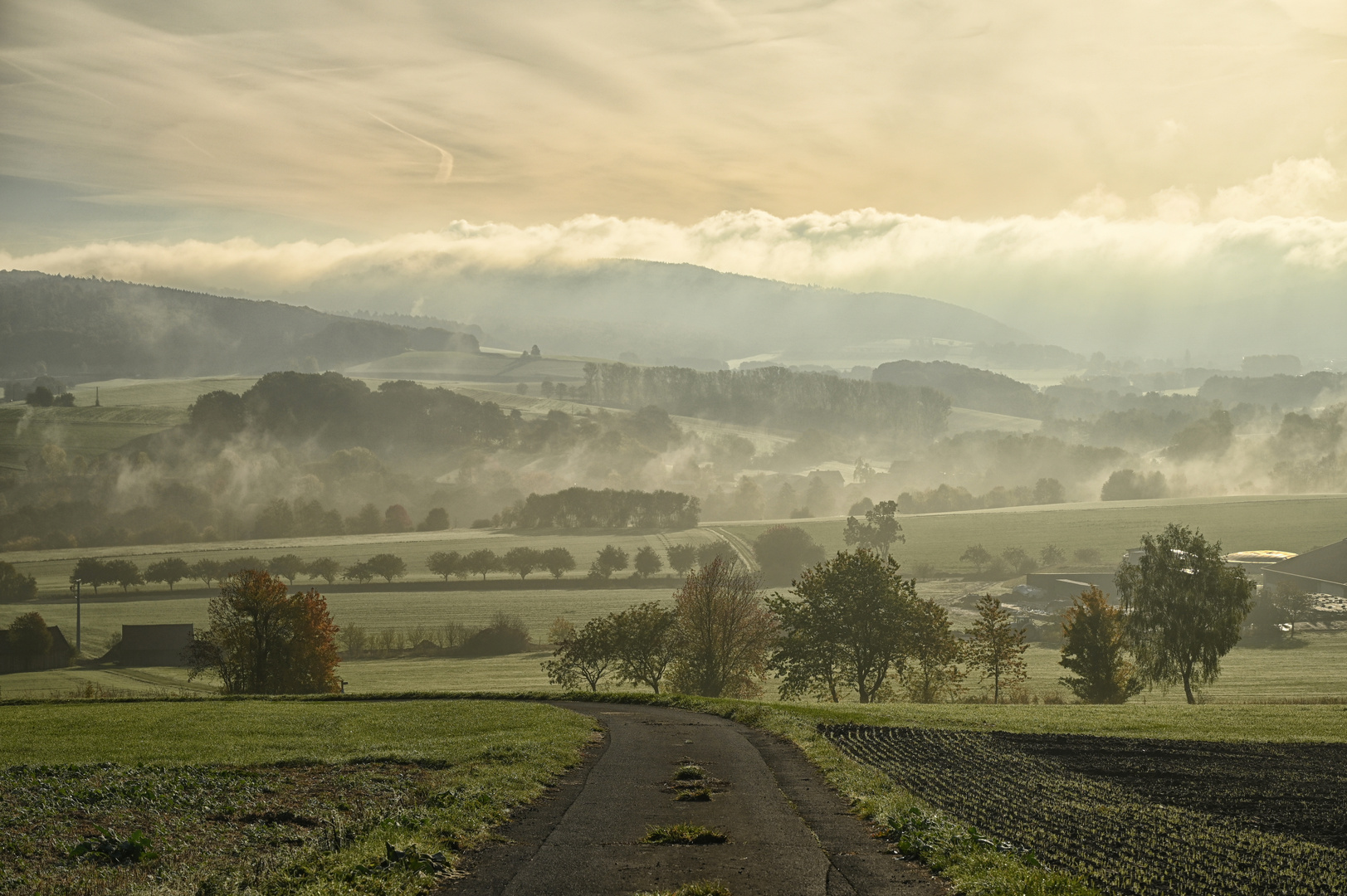 Nebelmorgen....