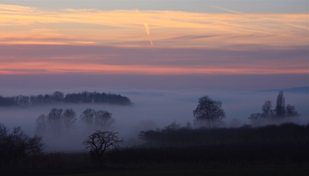 Nebelmorgen