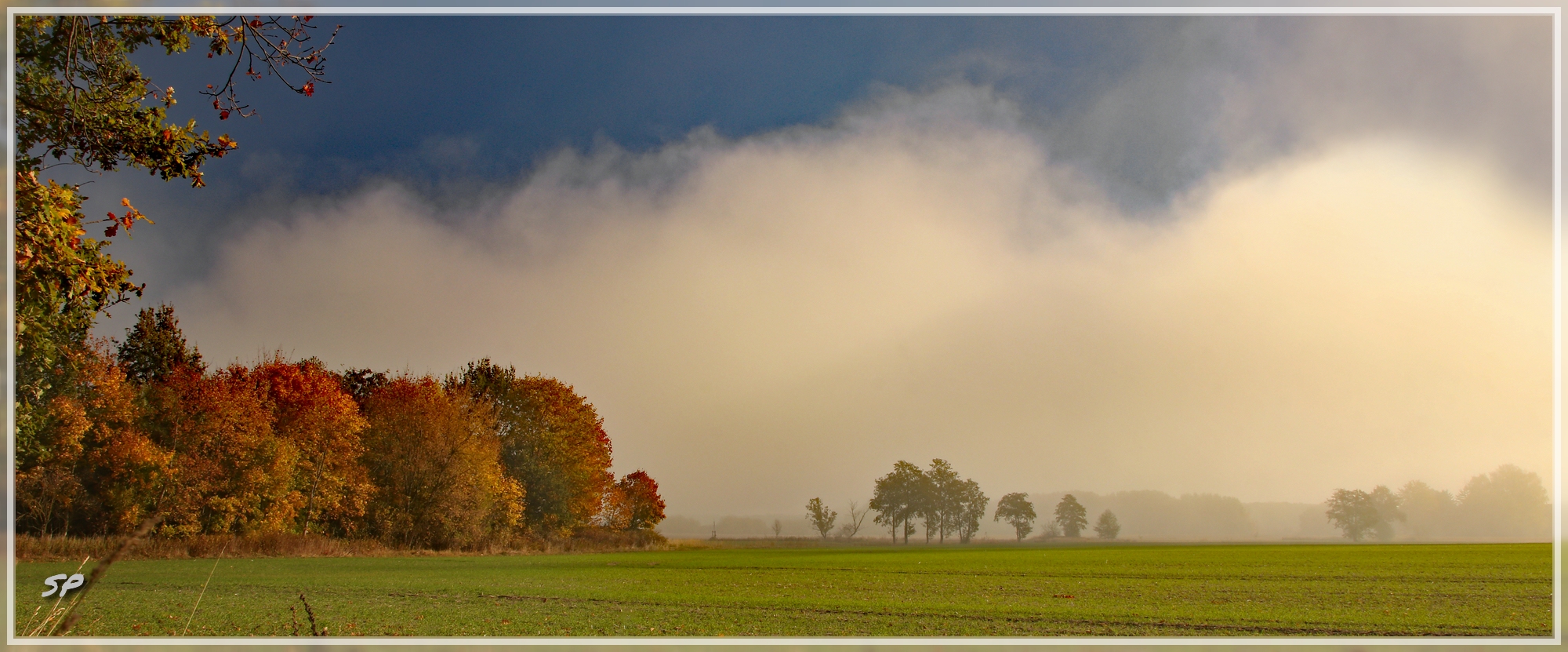 Nebelmorgen