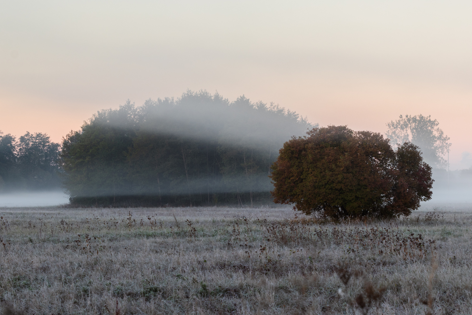 Nebelmorgen