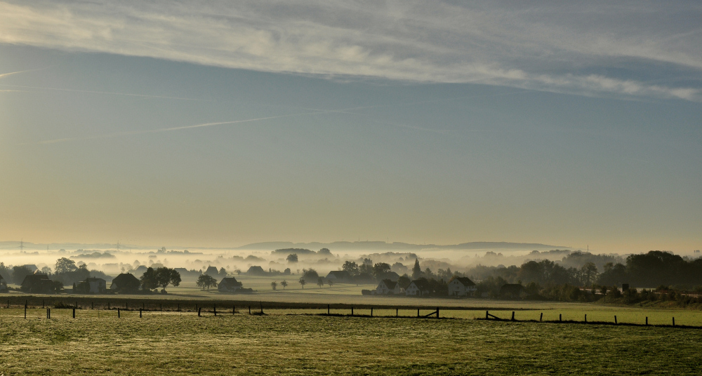 Nebelmorgen