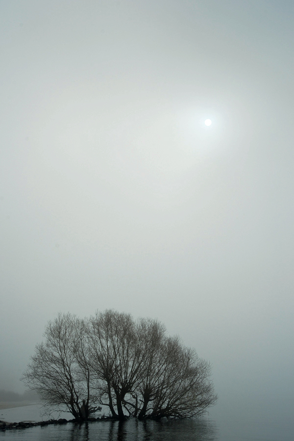 Nebelmorgen II
