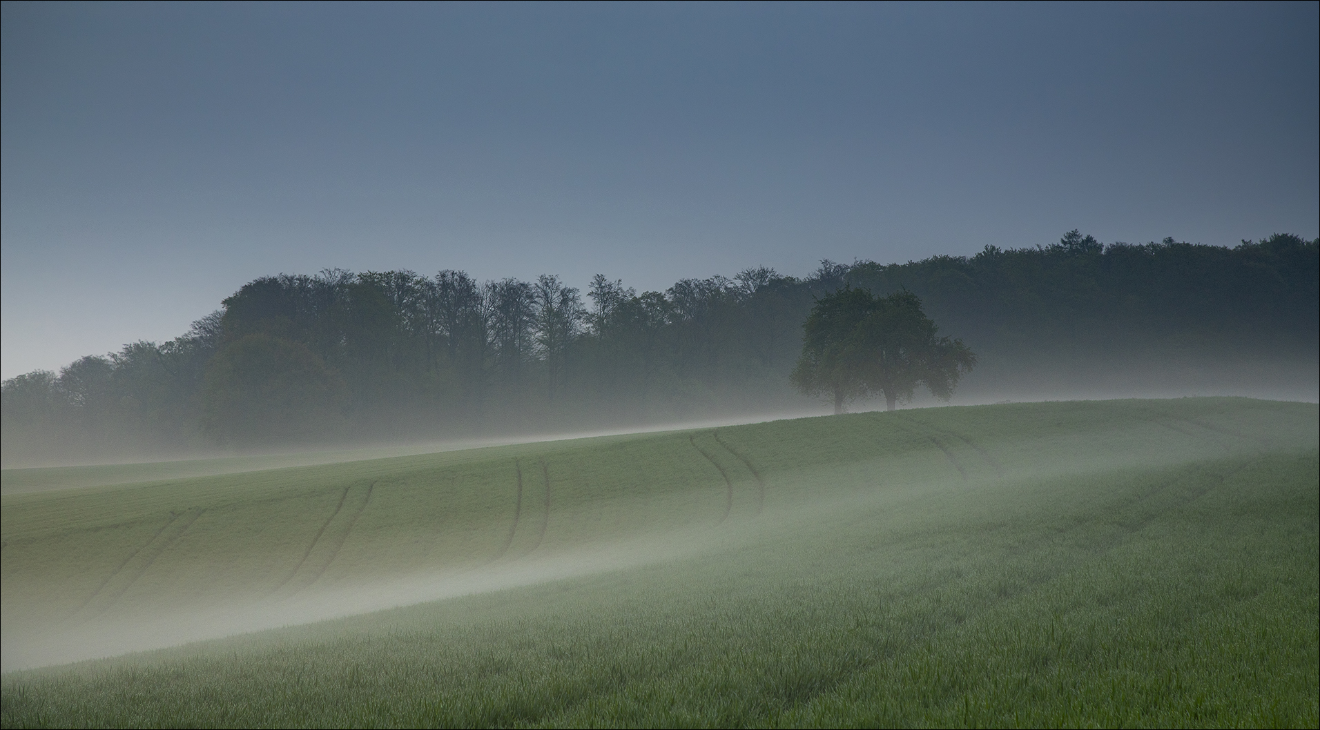 Nebelmorgen im April