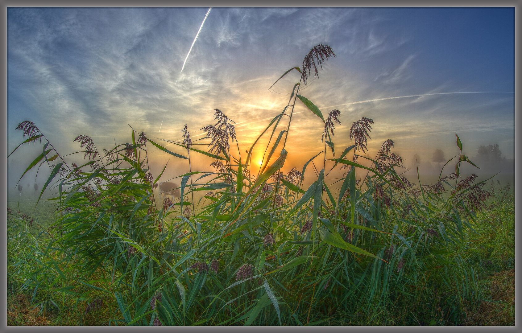 Nebelmorgen im August