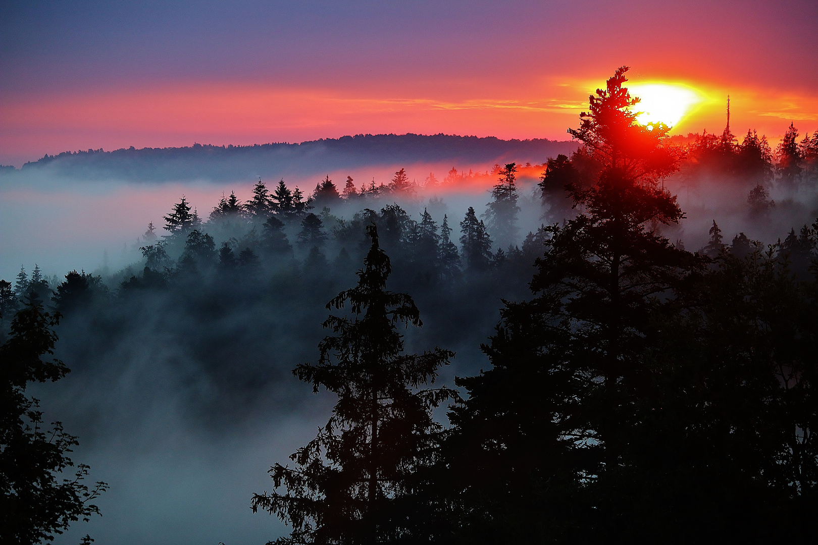 Nebelmorgen im August...