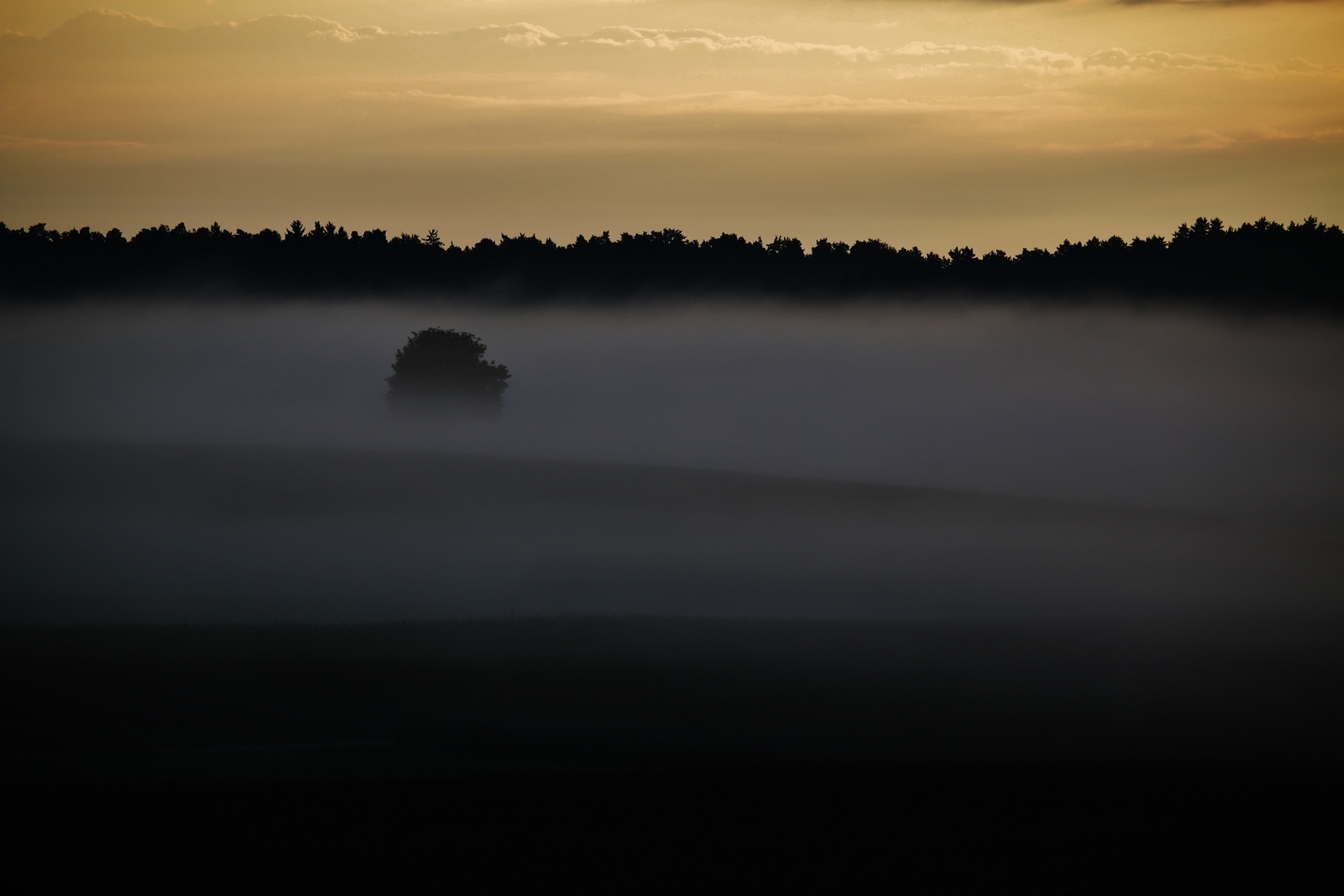 Nebelmorgen im August