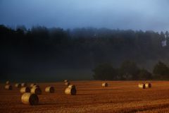 NEBELMORGEN im AUGUST