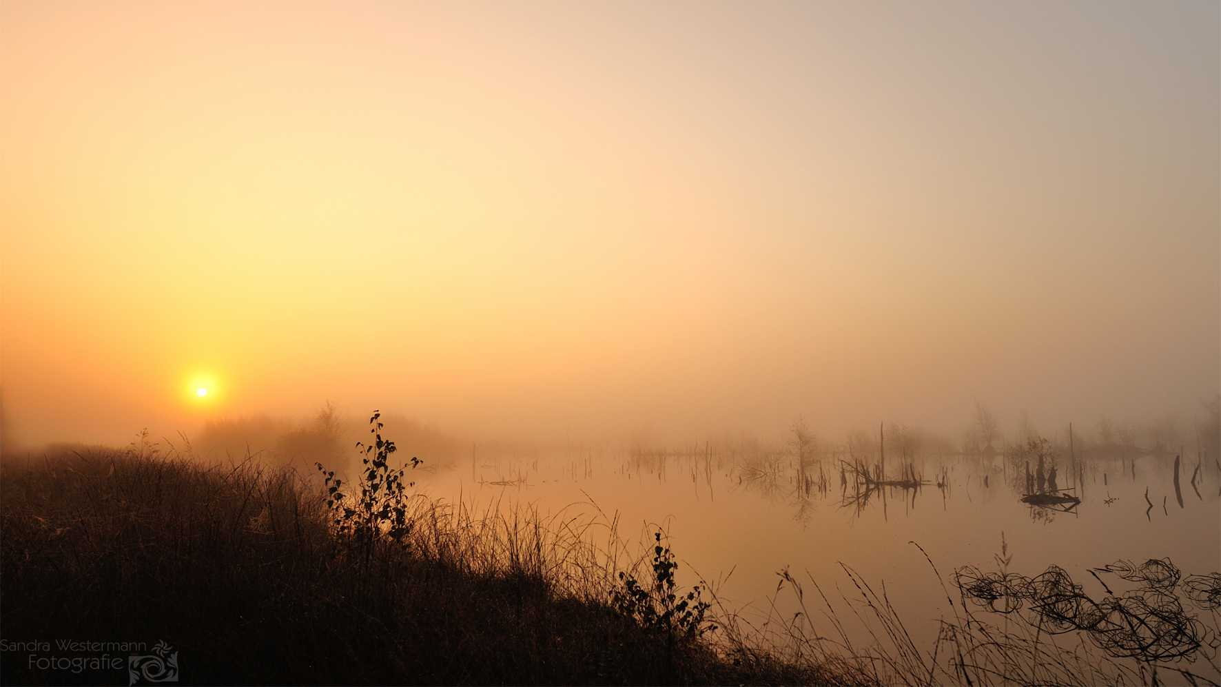 Nebelmorgen im Goldenstedter Moor