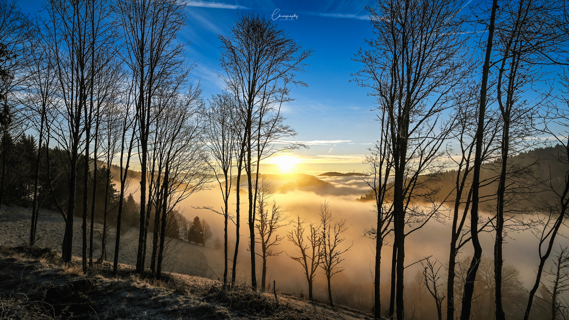 Nebelmorgen im Kleinen Wiesental