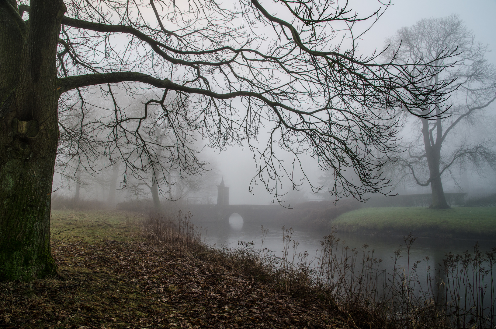 Nebelmorgen im Münsterland 2