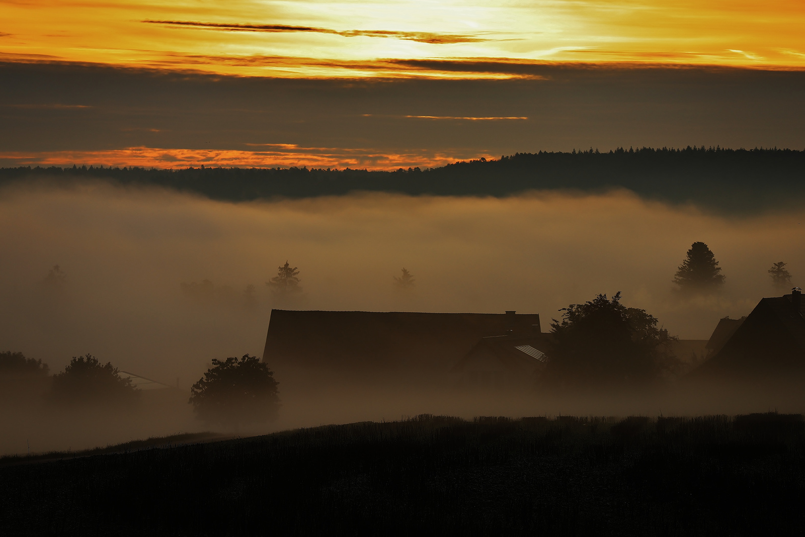 Nebelmorgen im Nordschwarzwald/ 2