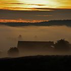 Nebelmorgen im Nordschwarzwald/ 2