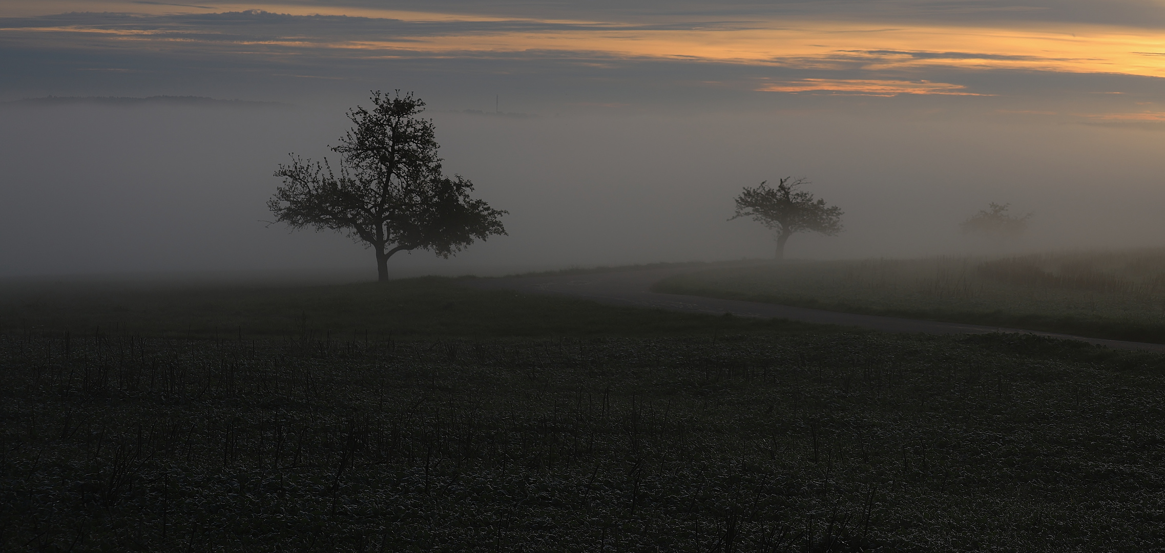 Nebelmorgen im Nordschwarzwald