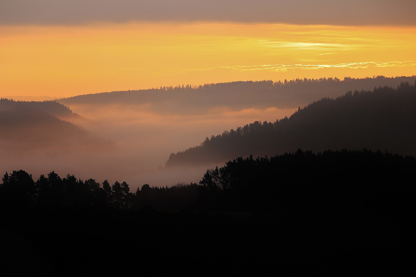 Nebelmorgen im November ( farbig )