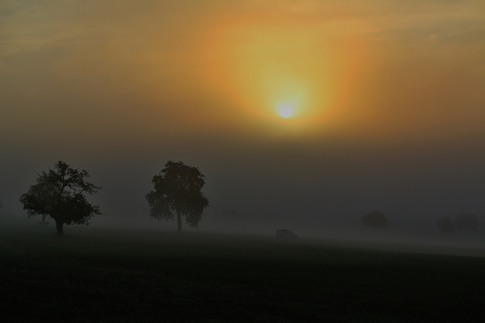 NEBELMORGEN im OKTOBER/ 2