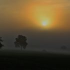 NEBELMORGEN im OKTOBER/ 2