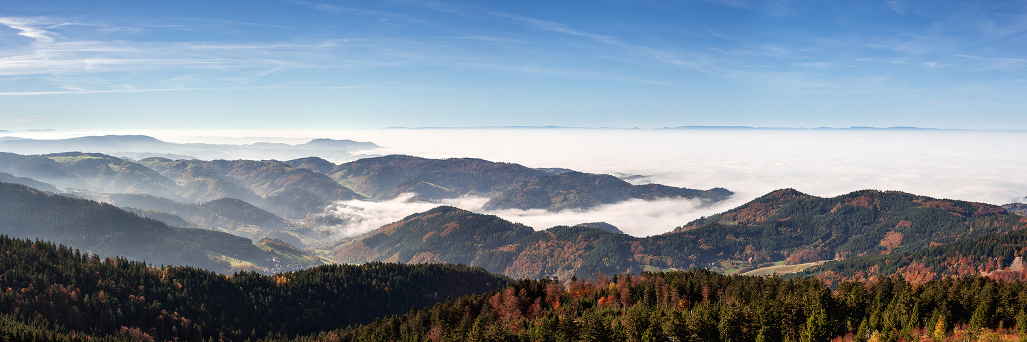 Nebelmorgen im Schwarzwald