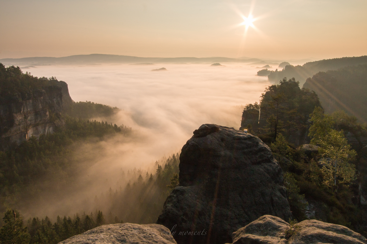 Nebelmorgen im Zschand