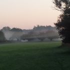 Nebelmorgen in den Rheinauen