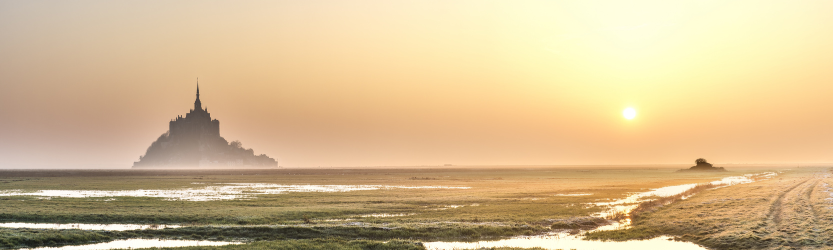 Nebelmorgen in den Salzmarschen bei Mont Saint Michel