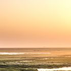 Nebelmorgen in den Salzmarschen bei Mont Saint Michel