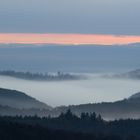 NebelMorgen in der Pfalz