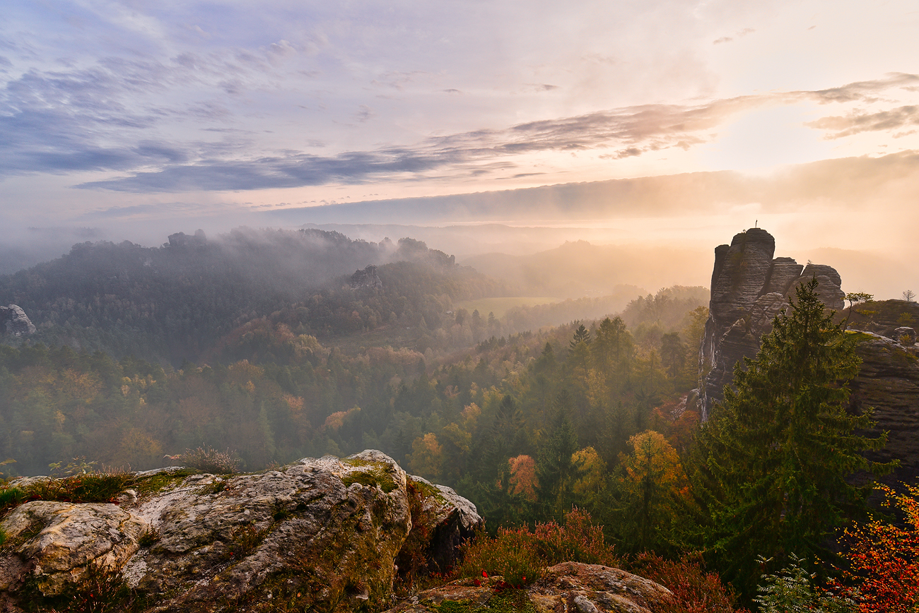 Nebelmorgen in der Rathener Felsenwelt