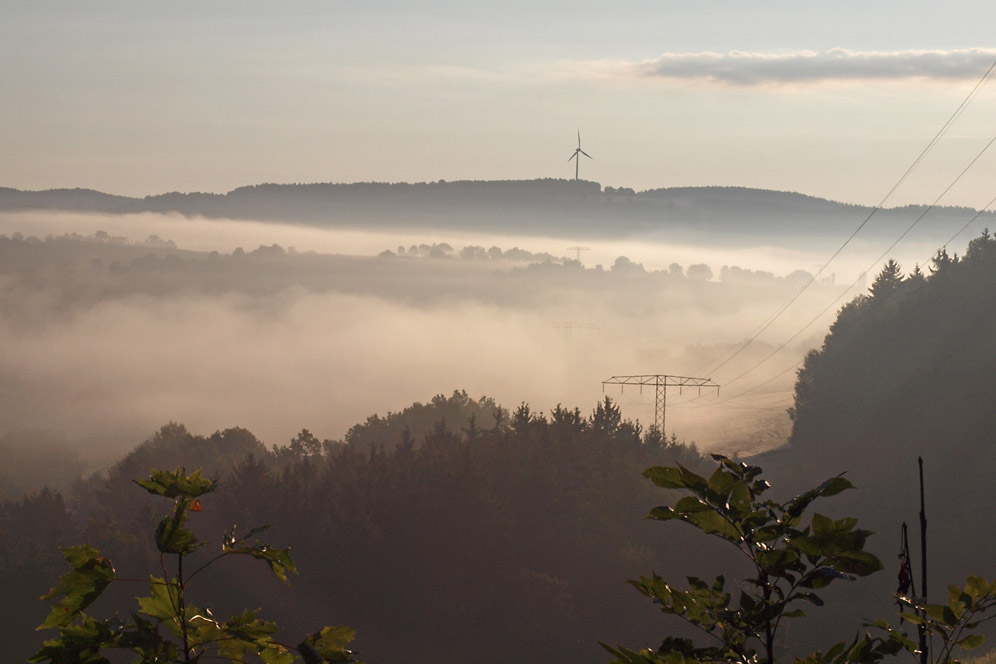 Nebelmorgen IV