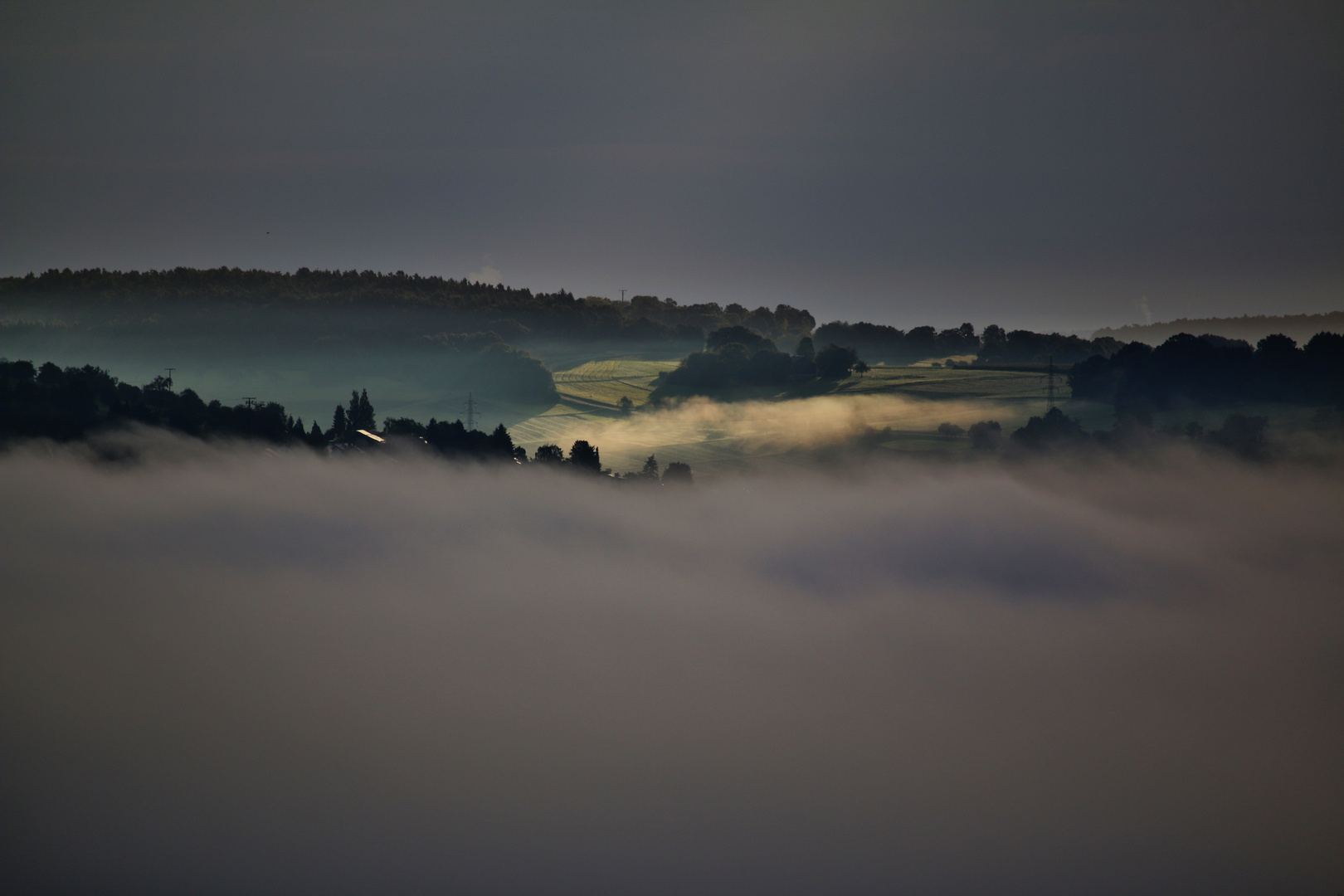 Nebelmorgen/ Nebelfarben...