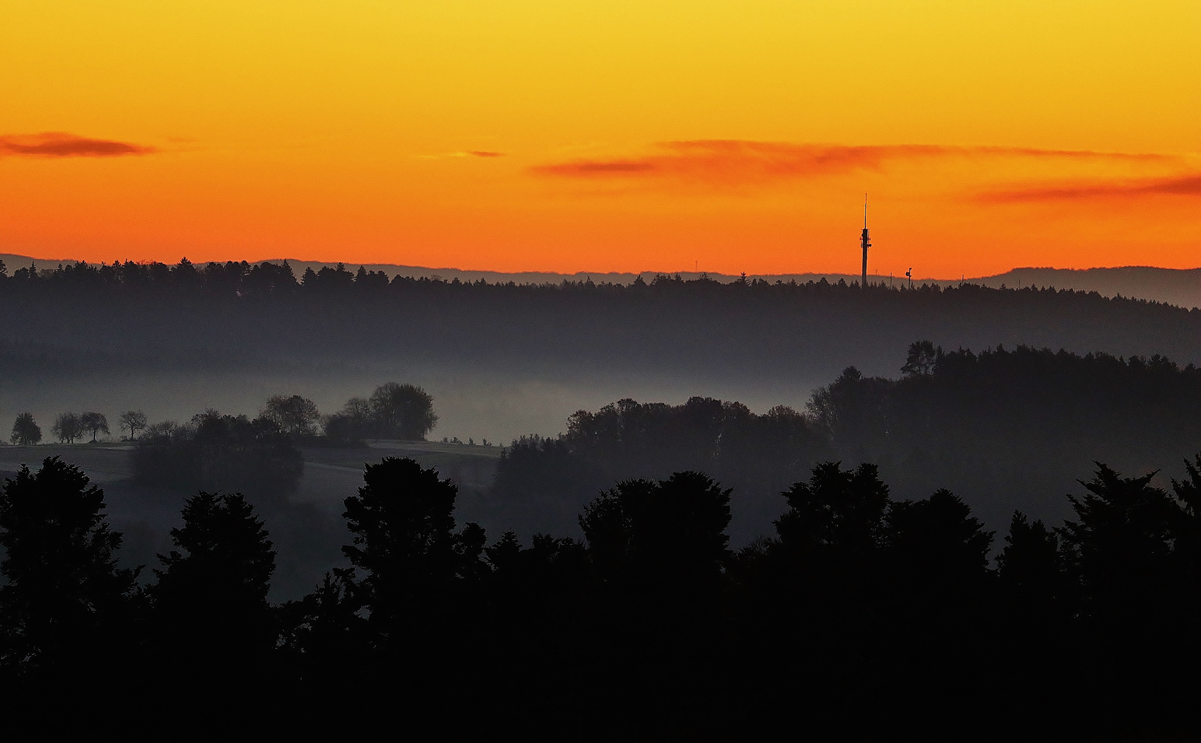 Nebelmorgen- Trilogie/ 3