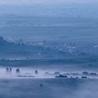 Nebelmorgen über der Südpfalz