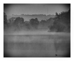 Nebelmorgen - Wandlung