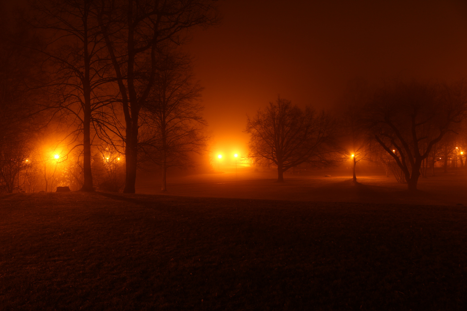 Nebelnacht im Park